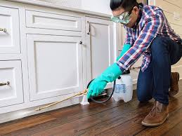 Best Real Estate Pest Inspections  in Independence, OH